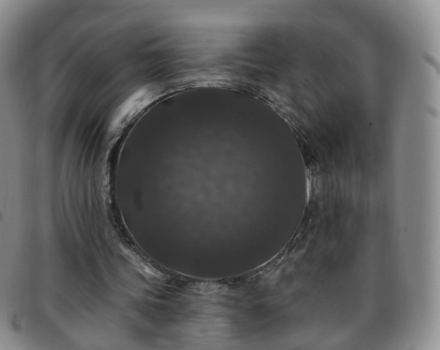 X0000097790339200803141834