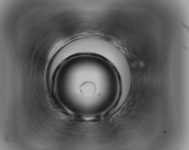 X0000097790340200803141834