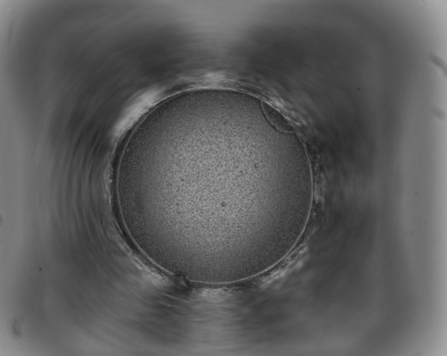 X0000097790341200803141834