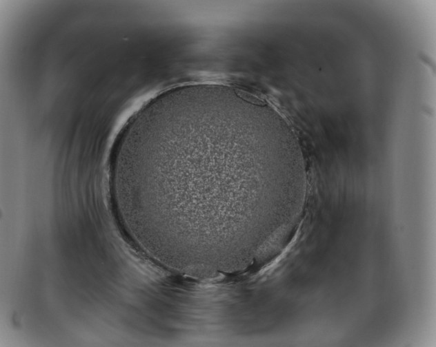 X0000097790342200803141834