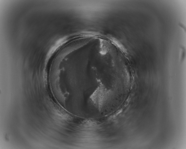 X0000097790343200803141834