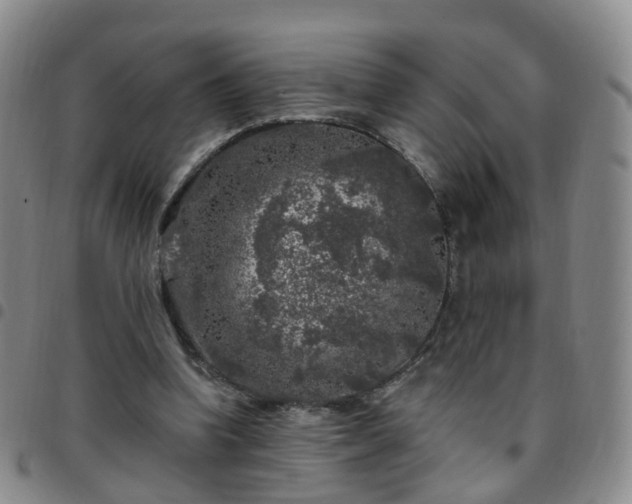 X0000097790346200803141834