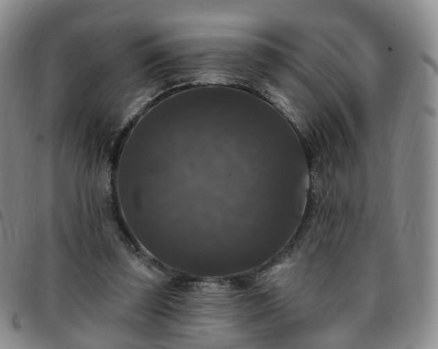 X0000097790347200803141834