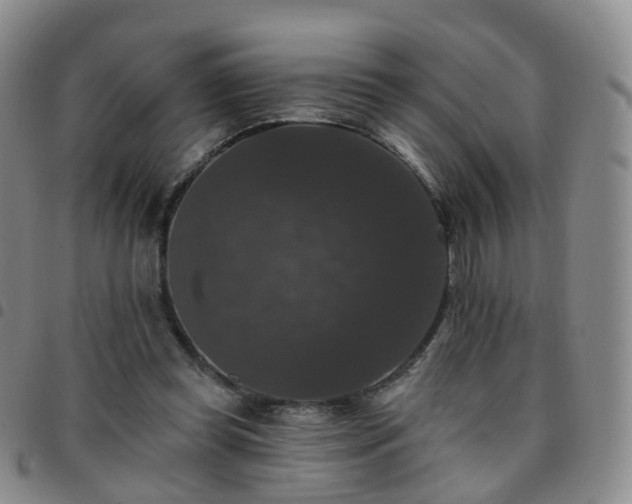X0000097790349200803141834