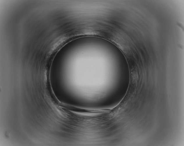 X0000097790350200803141834
