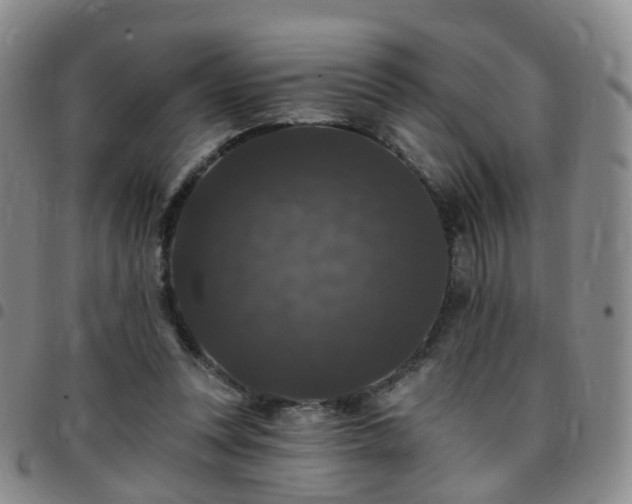 X0000097790351200803141834