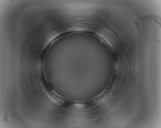 X0000097790352200803141834