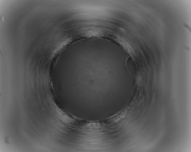 X0000097790353200803141834