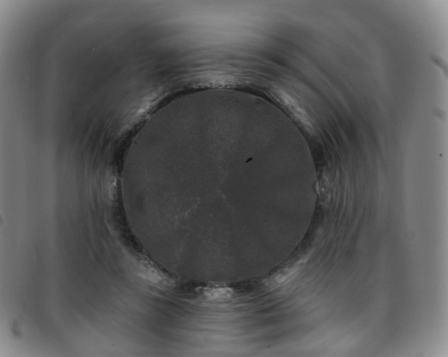 X0000097790355200803141834