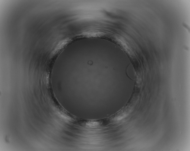 X0000097790357200803141834