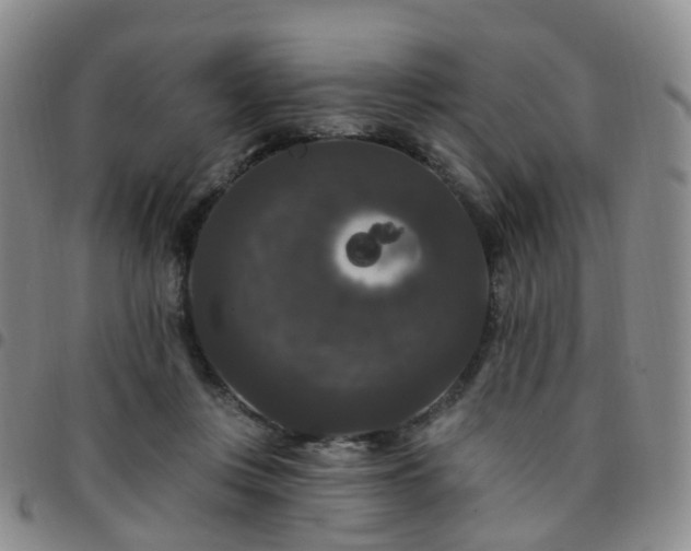 X0000097790359200803141834