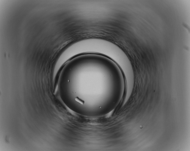 X0000097790360200803141834