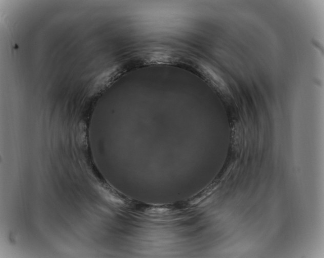 X0000097790361200803141834