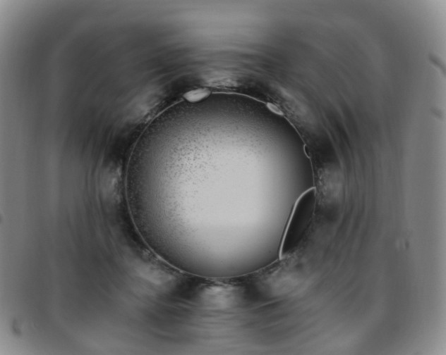 X0000097790364200803141834