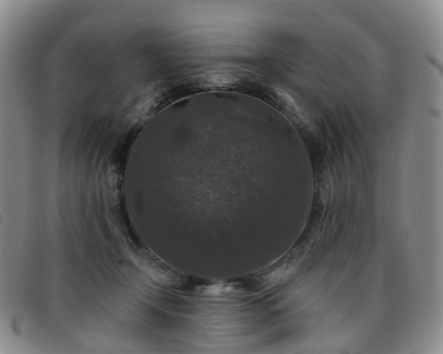 X0000097790366200803141834