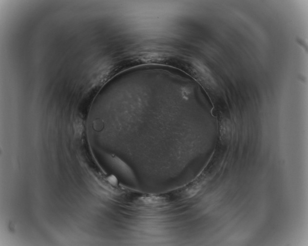 X0000097790367200803141834