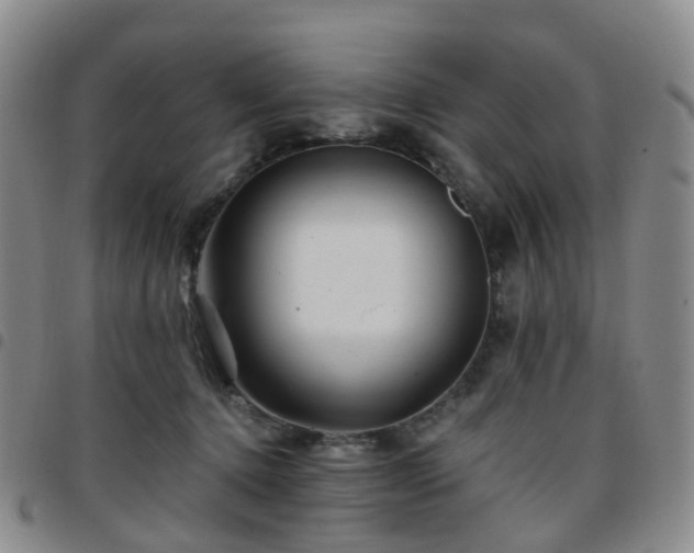 X0000097790368200803141834