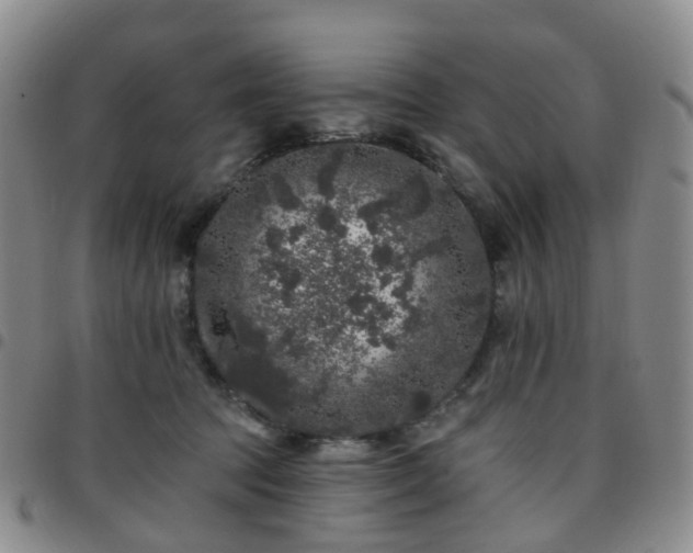 X0000097790369200803141834
