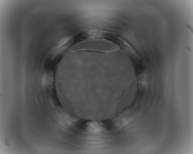 X0000097790372200803141834