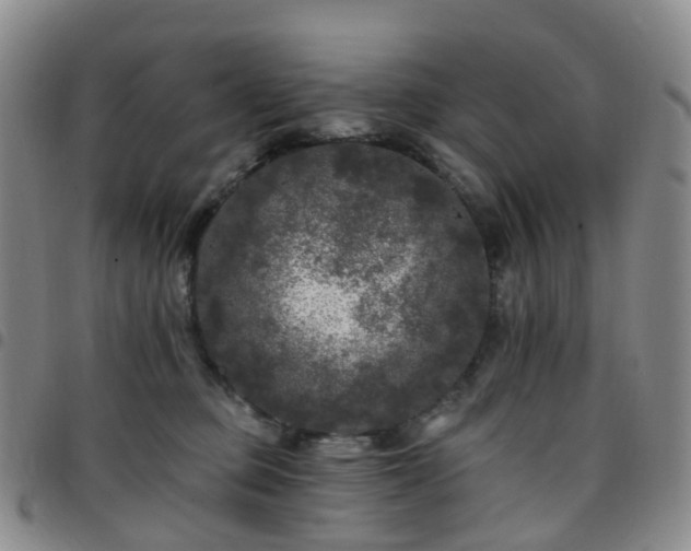 X0000097790373200803141834