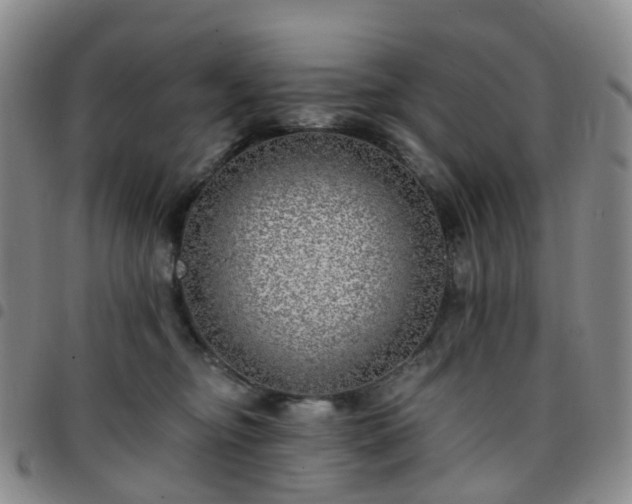 X0000097790374200803141834