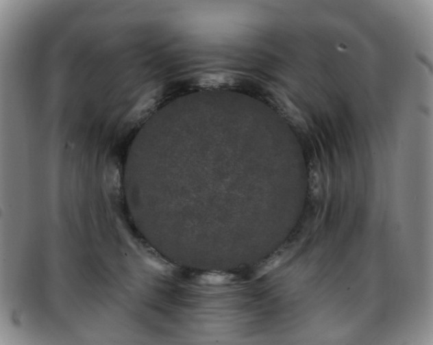 X0000097790375200803141834