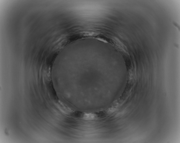 X0000097790376200803141834