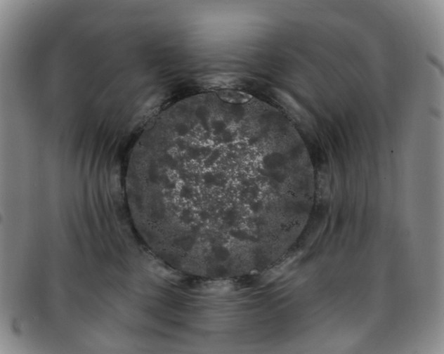 X0000097790377200803141834