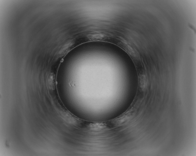 X0000097790378200803141834