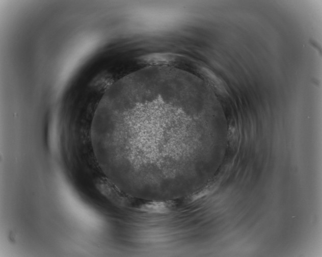 X0000097790381200803141834