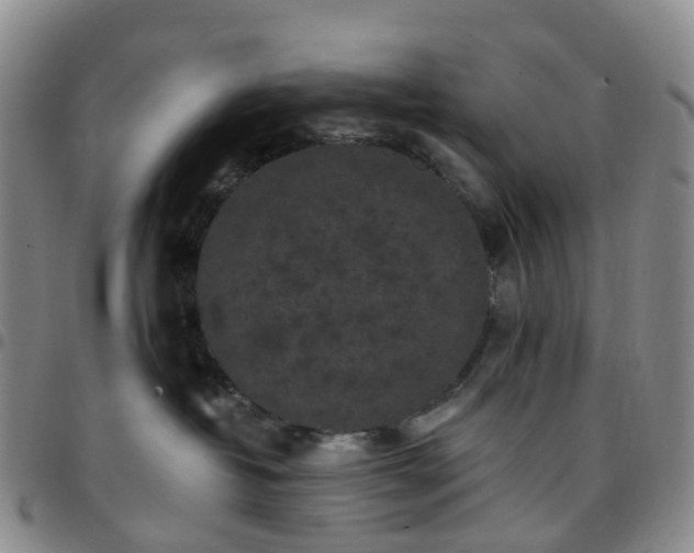 X0000097790382200803141834
