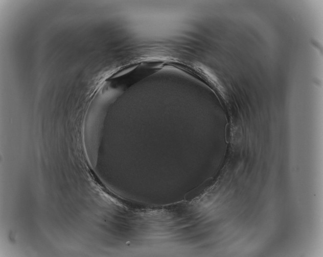 X0000097790385200803141834