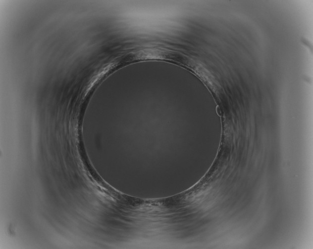 X0000097790386200803141834