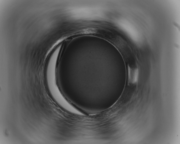 X0000097790387200803141834