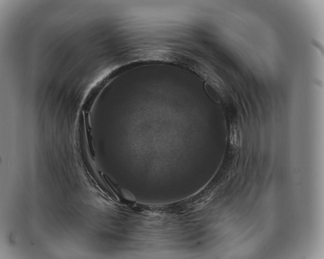 X0000097790388200803141834