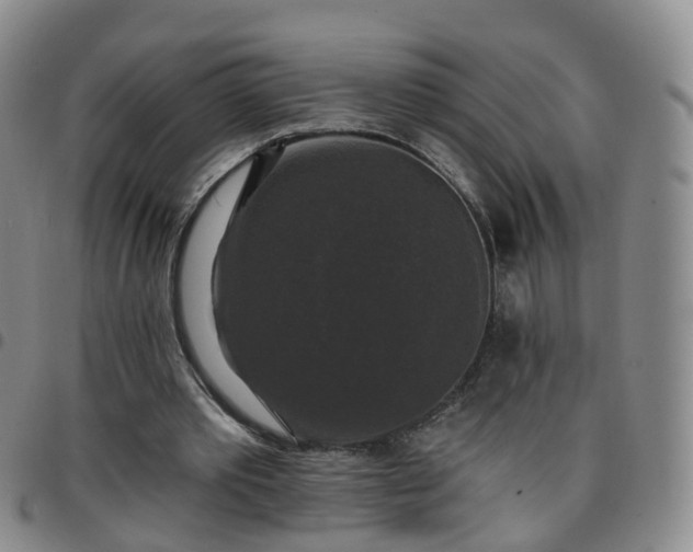 X0000097790389200803141834