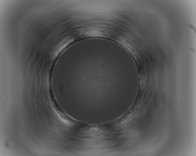 X0000097790390200803141834