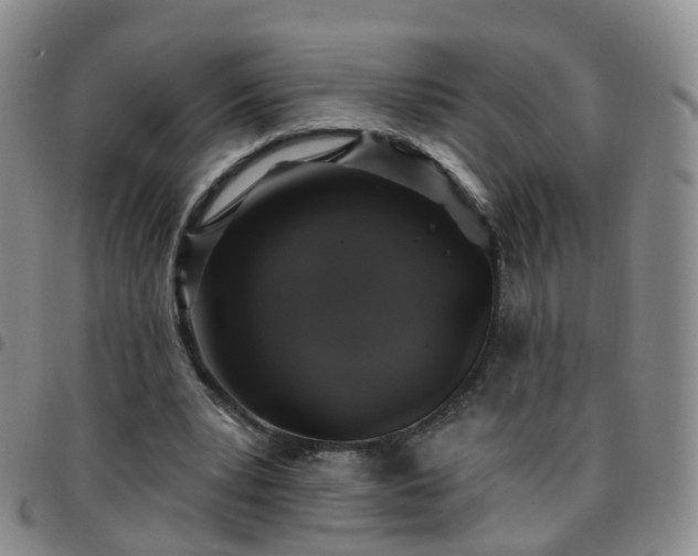 X0000097790391200803141834
