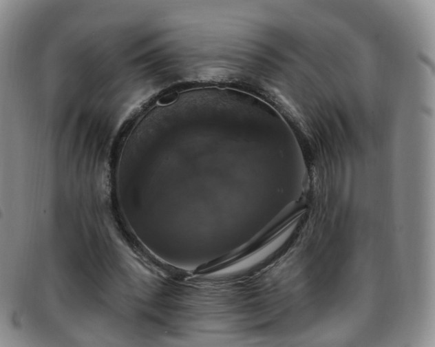 X0000097790392200803141834