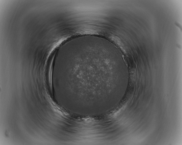 X0000097790395200803141834