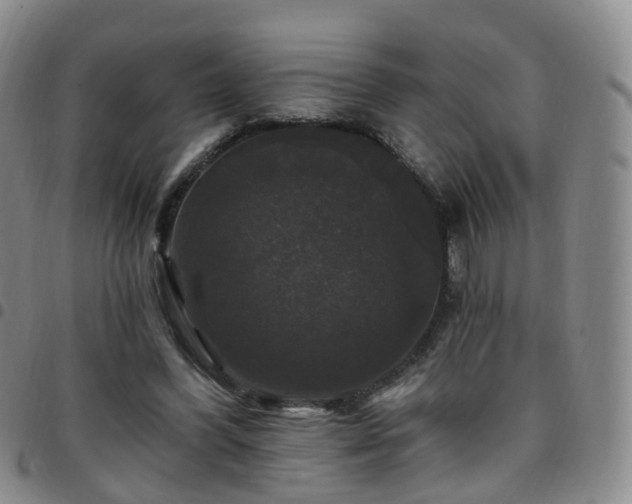 X0000097790396200803141834