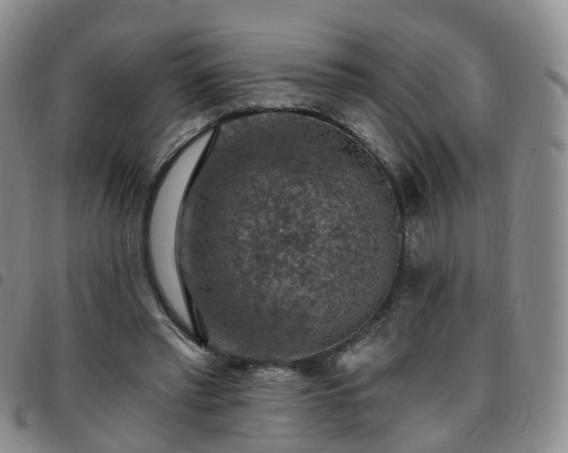 X0000097790397200803141834