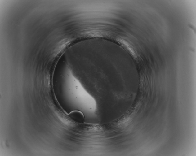 X0000097790398200803141834