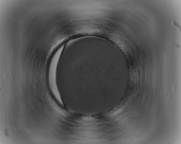 X0000097790399200803141834