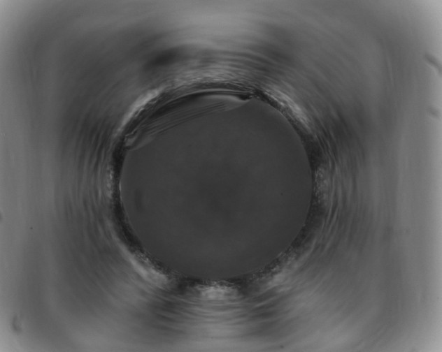 X0000097790400200803141834