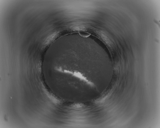 X0000097790402200803141834