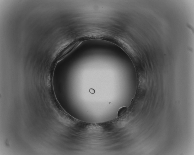 X0000097790403200803141834