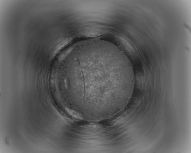 X0000097790404200803141834