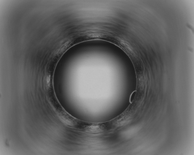 X0000097790406200803141834