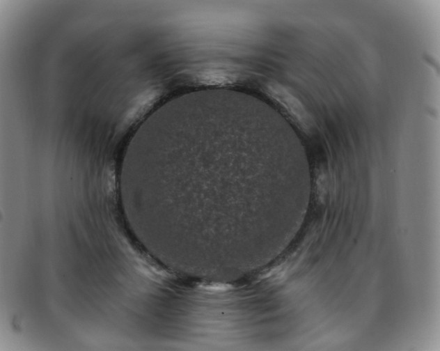 X0000097790407200803141834